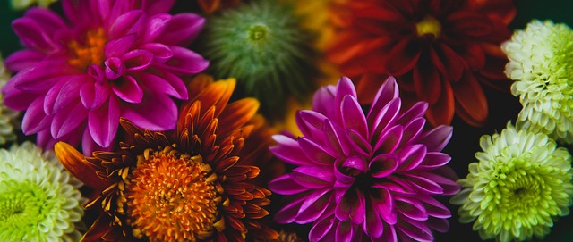 而詹姆斯此 而詹姆斯此