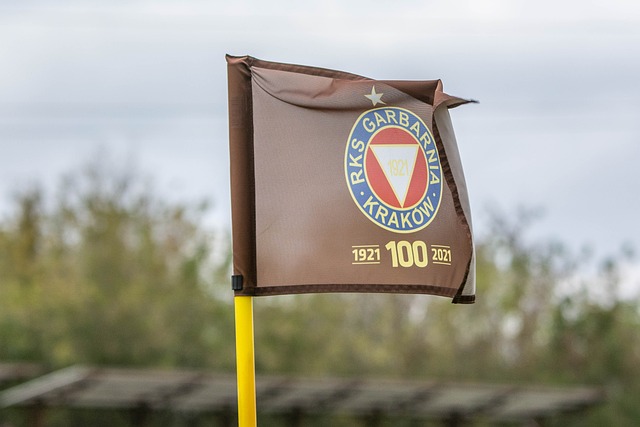 眉哥对小牛 眉哥对小牛