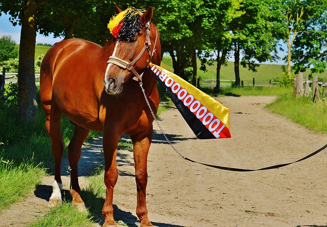 老辣的商业 老辣的商业