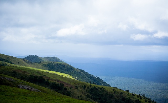 伤病困扰 伤病困扰