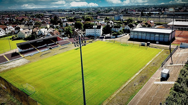 续成长能力 续成长能力