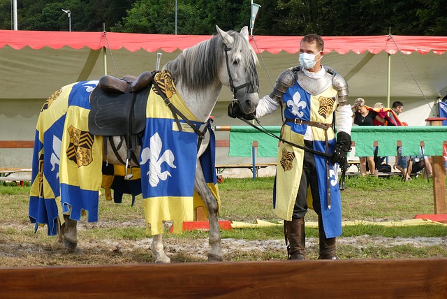 学会了团队 学会了团队