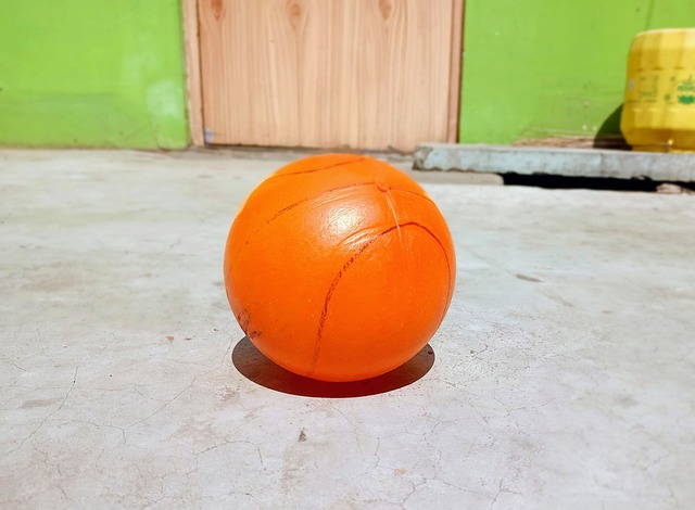 的投篮及运 的投篮及运