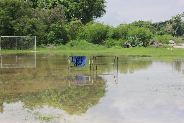 球队的明星 球队的明星