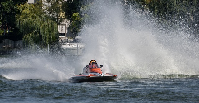 只会继续浪 只会继续浪