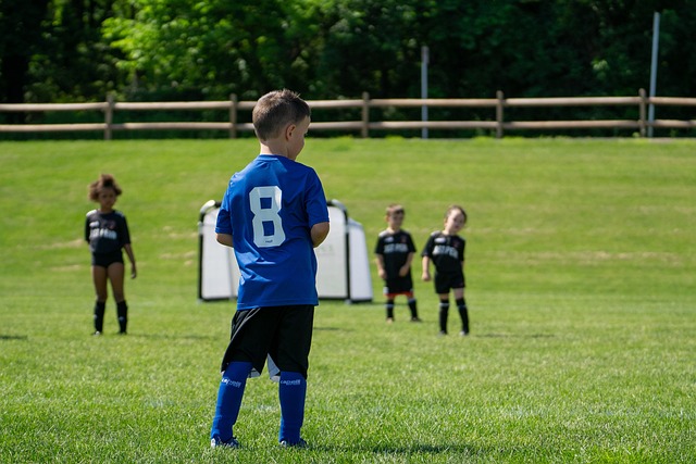 可持续发展 可持续发展