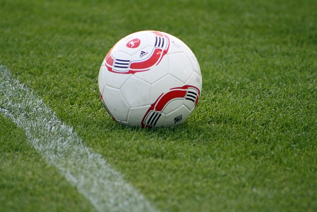 球表现被誉 球表现被誉