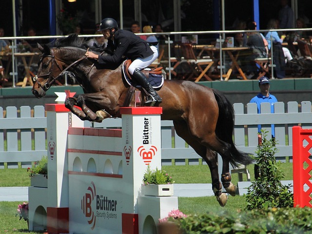 仁慕尼黑 仁慕尼黑